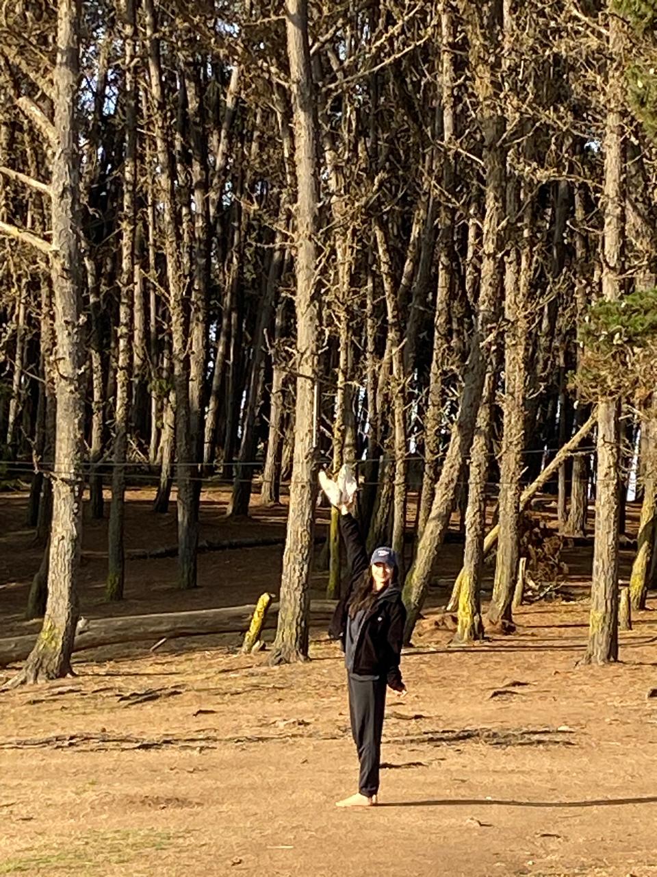 Bosque de pinos altos — símbolo de la vida que se sostiene y crece.