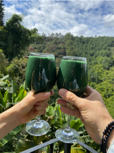 Dos manos brindando con copas de jugo verde frente a un valle boscoso.